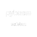 Pybossa Alternatives