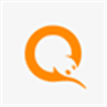 Qiwi Alternatives