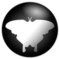 Qmmp Alternatives