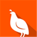Quail Alternatives