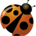 Qvd Alternatives