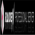 Raidendnsd Alternatives