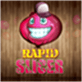 Rapid Slicer Alternatives