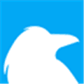 Raven Tools Site Auditor Alternatives