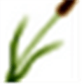 Rbt Alternatives
