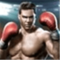 Real Boxing Alternatives