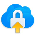 Rebel Backup Alternatives