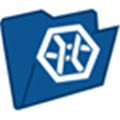 Recovery Explorer Standard Alternatives
