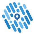 Remember App Alternatives