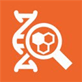 Researcher Pro Alternatives