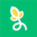 Reviewgrower Alternatives