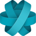 Ring Alternatives