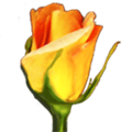 Rosegarden Alternatives