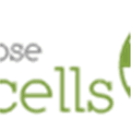 Saaspose Cells Alternatives