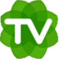 Sagetv Alternatives