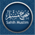 Sahih Muslim Complete Hadith App Alternatives