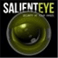 Salient Eye Alternatives