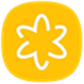 Samsung Gallery Alternatives