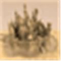 Sandcastle Alternatives