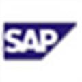 Sap Business Suite Alternatives