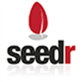 Seedr Alternatives
