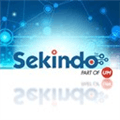 Sekindo  Universal Mccann Alternatives