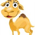 Seo Camel Alternatives
