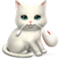 Shortcat Alternatives