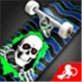 Skateboard Party Alternatives