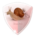 Slowdns Alternatives