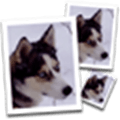Smillaenlarger Alternatives