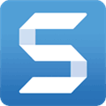 Snagit Alternatives