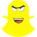 Snap Kill Alternatives