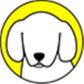 Snappy  Snapchat S Best Friend Alternatives