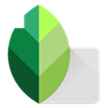 Snapseed Alternatives