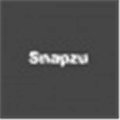 Snapzu Alternatives