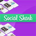 Social Shark Alternatives