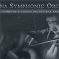 Sonatina Symphonic Orchestra Module Alternatives