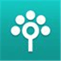 Songtree Alternatives