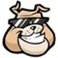 Sounddogs Alternatives