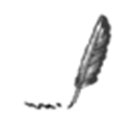 Speechnotes Alternatives