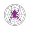 Spider Project Alternatives