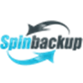 Spinbackup Alternatives