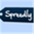 Spreedly Alternatives