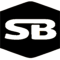 Spybunker Alternatives
