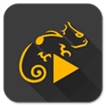 Stellio Music Player Alternatives