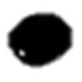 Stonenotes Alternatives