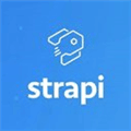 Strapi Alternatives