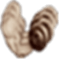 Strongdc Alternatives