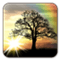 Sun Rise Live Wallpaper Alternatives